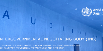 INTERGOVERNMENTAL NEGOTIATING BODY INTERGOVERNMENTAL NEGOTIATING BODY