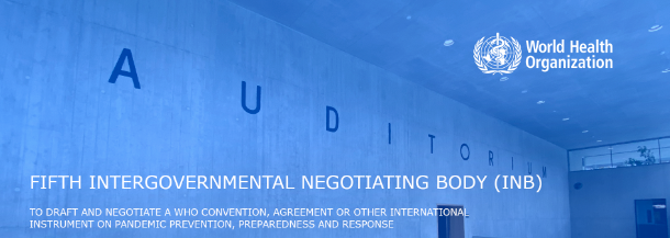 INTERGOVERNMENTAL NEGOTIATING BODY INTERGOVERNMENTAL NEGOTIATING BODY