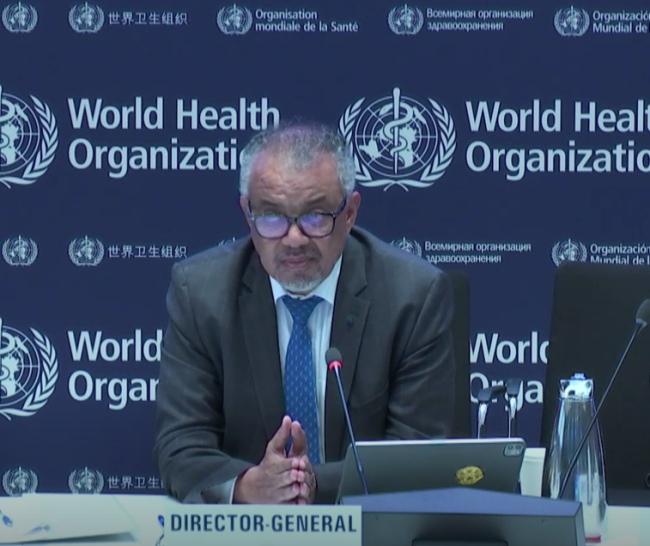 Tedros INB11